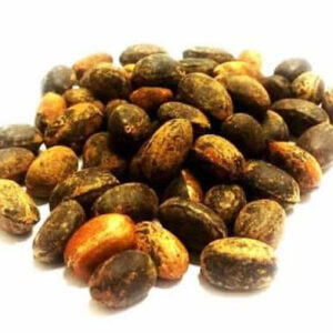 Kraljevsko zrno hubetul mulk