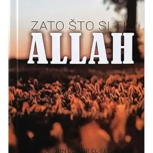 Zato što si Ti Allah